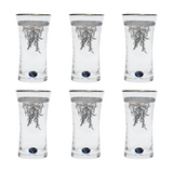 Bohemia Crystal Longdrink Set, 6 Pieces -Silver -240 ml