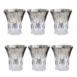 Bohemia Crystal Tumbler Set, 6 Pieces -Silver